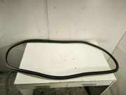 Türgummi links vorne Opel Insignia A Sports Tourer (G09)