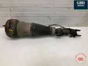 Gasdruckfeder Mercedes-Benz S-Klasse (W222) A2223201900