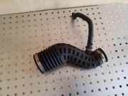 Andere Röhren NISSAN QASHQAI / QASHQAI +2 I (J10, JJ10) 2.0 dCi 1022314S01