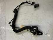 Türverkabelung hinten links FORD TRANSIT 2.0 TDCi GK3T18C394GBB