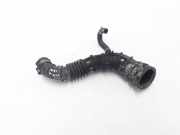 Ölschlauch Renault Clio III (BR0/1, CR0/1) 8200500383