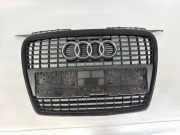 Vorderer oberer Gitter AUDI A3 Sportback (8PA) 1.8 TFSI 8P4853651