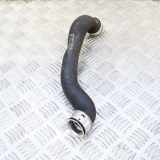 Wasserkühlerschlauch links