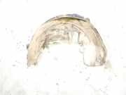 Innenkotflügel hinten links MERCEDES-BENZ C Coupe (C205) C 250 (205.345) A2056900730 2056900730