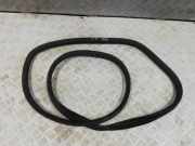 Türgummi links hinten Renault Zoe (BFM)