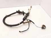 Türverkabelung hinten links