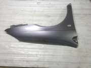 Kotflügel rechts vorne Citroen C5 II (RC)