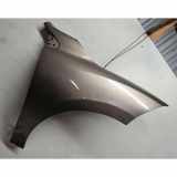 Kotflügel vorne rechts RENAULT MEGANE III Coupe (DZ0/1_) 1.6 dCi (DZ00)