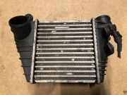 Kühlerluftumlenker SKODA FABIA I (6Y2) 1.4 16V 1J0145803