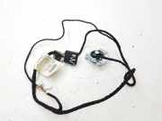 Lautsprecher links hinten Maserati Quattroporte V () 196810