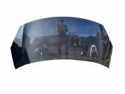 Motorhaube CITROËN DS3 1.6 THP 155
