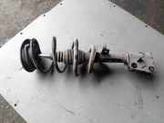 Stoßdämpfer vorne rechts RENAULT LAGUNA II (BG0/1_) 2.2 dCi (BG0F)