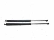 Heckklappe Gasdruckfeder rechts PEUGEOT PARTNER Furgon 1.6 HDi 90 700021036500