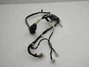 Kabel Tür vorne rechts TOYOTA AURIS (_E18_) 1.4 D-4D (NDE180_)