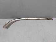 Stoßstangenzierleiste vorne rechts RENAULT LAGUNA I (B56_, 556_) 2.2 D (B56F/2)