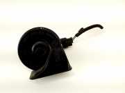 Hupe FORD ECOSPORT 1.0 EcoBoost A072657 55306-AM80S