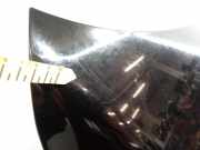 Motorhaube Fiat Croma (194)