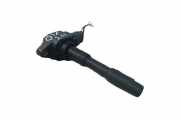 Zündspule Nissan Qashqai II (J11) 224332428R