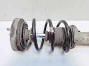 Vorderachshälfte links BMW 3er Coupe (E92) 2284095