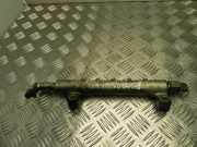 Einspritzleiste Nissan Navara (D40) 04J11832
