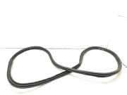 Türdichtung BMW X1 (F48) 7349665