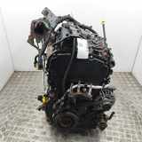 Motor ohne Anbauteile (Diesel) Ford Transit Bus (FD, FB, FS, FZ, FC) DRFB