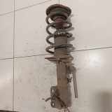 Stoßdämpfersatz Vorderachse Ford S-Max II (CJ, WA6) GKADA
