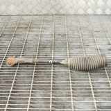 Spurstange rechts AUDI A3 (8P1) 2.0 TDI 16V N/A