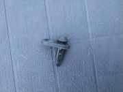 Schalter für Türkontakt Toyota Prius Liftback (W2)