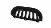 Vorderer oberer Gitter BMW X3 (E83) 3.0 i xDrive