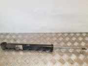 Stoßdämpfer rechts hinten Seat Leon (1M) 8N0513025C