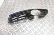 Blende Nebelscheinwerfer VW Passat B6 (3C2) 3C0853665A
