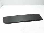 Türleiste hinten links RENAULT MASTER III Furgon (FV) 2.3 dCi 110 FWD 908510003R