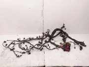 Motor Kabelbaum AUDI A8 D4 (4H_) 4.2 TDI quattro 4H2971713BQ