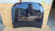 Motorhaube MERCEDES-BENZ E (W213) E 400 d (213.020) B009563