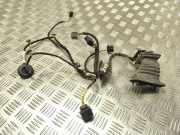 Türverkabelung hinten links VW PASSAT B7 ALLTRACK (365) 2.0 TDI