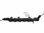 Kraftstoffzuführung NISSAN QASHQAI / QASHQAI +2 I (J10, JJ10) 2.0 dCi 4WD H8200610770