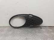 Gitter vorne unten MERCEDES-BENZ C (W203) C 220 CDI (203.006) A2038850623