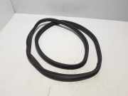 Türdichtung Volvo XC70 II (136) 31402823