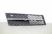 Gitter Grill vorne rechts BMW 5 (F10) 520 d 7200700