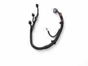 Kabelbaum Lexus IS 2 (E2)