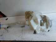 Fensterwaschtank SKODA FABIA II Combi (545) 1.9 TDI 5J0955453
