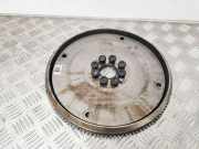 Schwungrad RENAULT ESPACE IV (JK0/1_) 2.0 (JK09) 483080