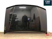 Motorhaube Nissan Pathfinder III (R51) F5100EB3MA