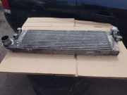 Ladeluftkühler RENAULT MEGANE II (BM0/1_, CM0/1_) 1.9 dCi (BM0G, CM0G) 0029359 8200115540A