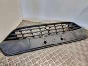 Gitter vorne unten FORD TRANSIT CUSTOM 2.0 TDCi BK2117B968ABW