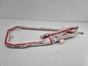 Dach SRS rechts AUDI Q7 (4M) 2020 SQ7 TDI Quattro 4m0880742