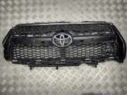 Vorderer oberer Gitter TOYOTA RAV 4 III (_A3_) 2.2 D 4WD (ALA30_) 531010R060