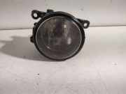 Nebelscheinwerfer links RENAULT GRAND SCÉNIC II (JM0/1_) 1.5 dCi (JM02, JM13) 89202504