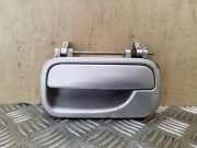 Türaußengriff hinten links